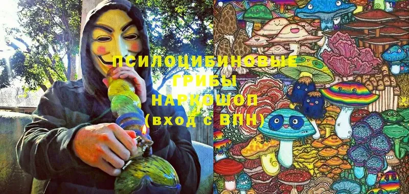 где купить наркоту  Звенигово  mega зеркало  Галлюциногенные грибы Magic Shrooms 